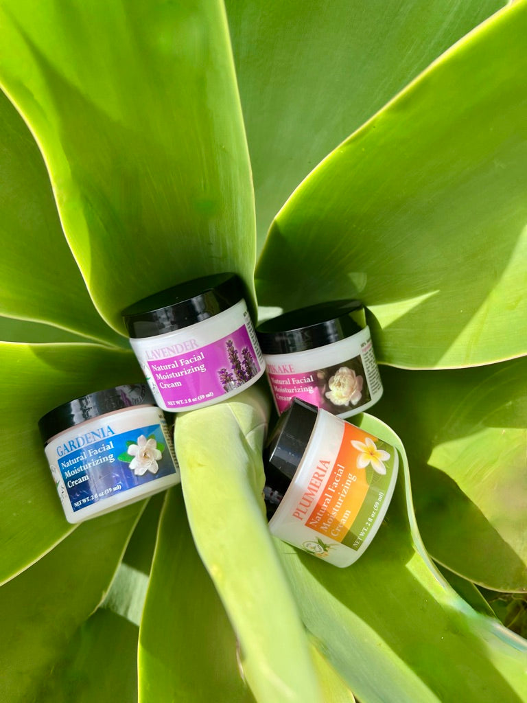 All Maui Excellent Moisturizing creams in a semi-circle atop a light green plant.